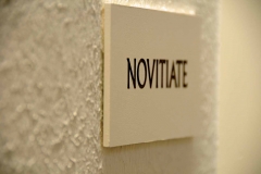The Novitate