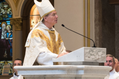 Archbishop Fisher, the Ordinary of the Sydney Archdiocese in Australia, gives the homily. Archbishop Fisher, the Ordinary of the Sydney Archdiocese in Australia, gives the homily.