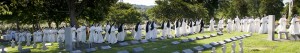 CORPUS CHRISTI, ST CECILIA CONGREGATION, NASHVILLE DOMINICANS,
