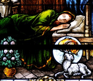 nashville dominicans, Dominican sisters of st. cecilia congregation, nashville, education, teaching, dominican sisters, st. cecilia congregation, stained glass windows, st cecilia chapel, life of dominic in stained glass, franz mayer stained glass, blessed jane's dream, dog with torch,