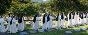 Sisters at prayer in cemetery